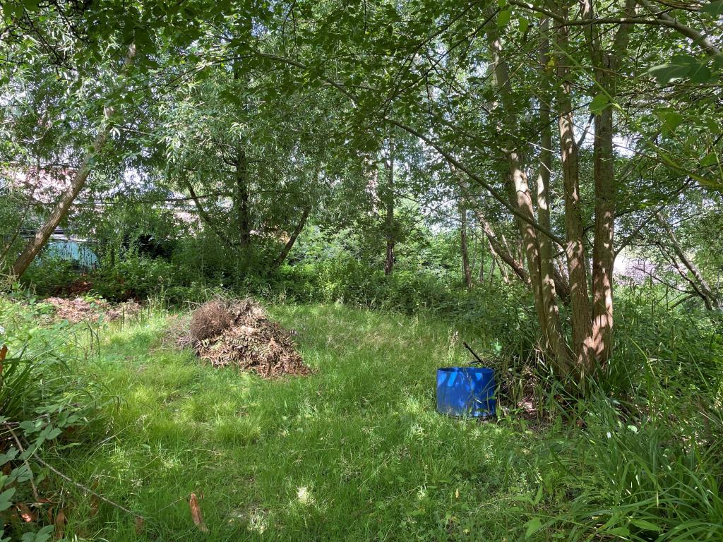 Lot: 52 - FREEHOLD PARCEL OF LAND - Grassland